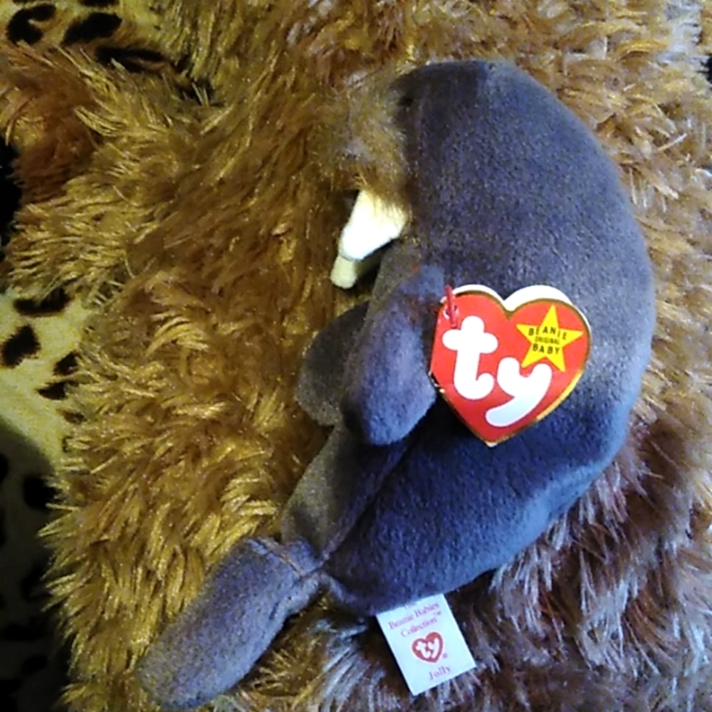 Jolly the Walrus 1996 beanie baby
